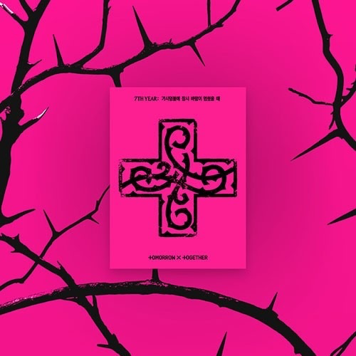 7th YEAR: A MOMENT OF STILLNESS IN THE THORNS [WEVERSE ALBUM VER]