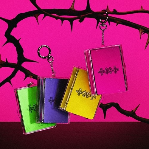 7th YEAR: A MOMENT OF STILLNESS IN THE THORNS [PHOTOCARD CASE VER]