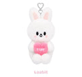 SKZOO - Stray Kids STAY in Our Little House MD [PLUSH VOICE Ver. ]