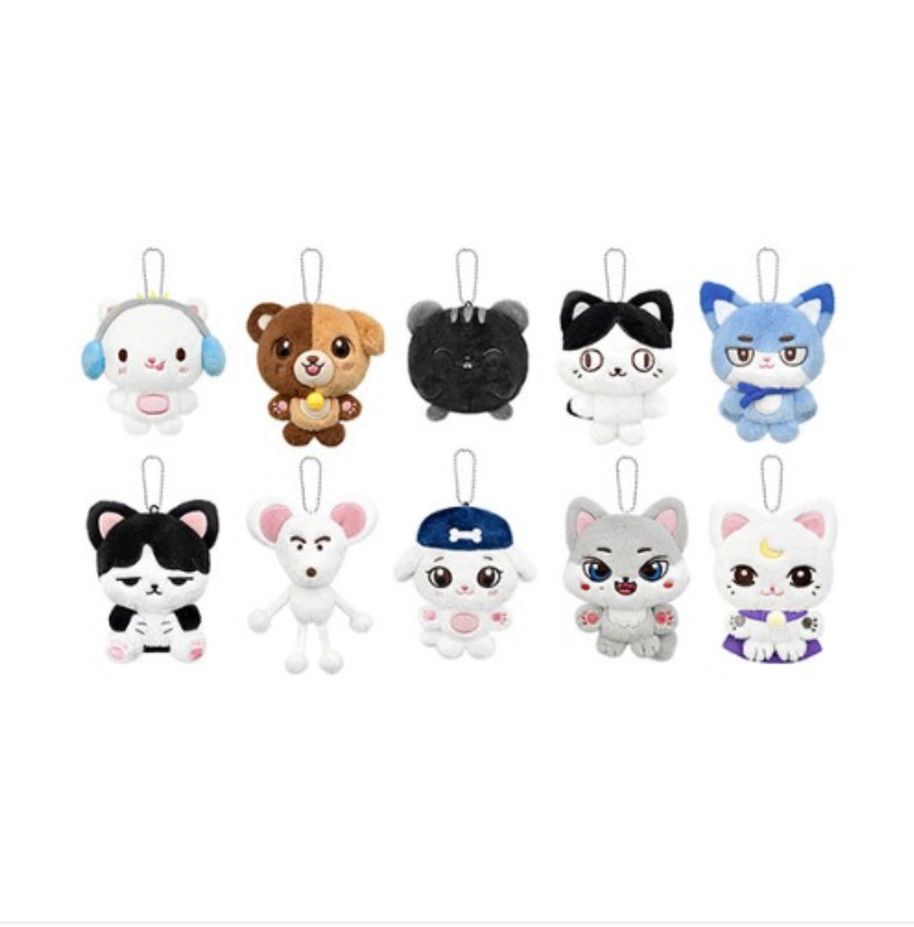 SSAKNIMALS GROUP ORDER