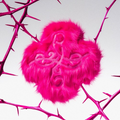 CUSHION OF THORNS VER